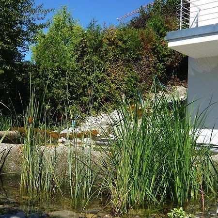 N1 Standalone House Baden Appartement Hertenstein Buitenkant foto