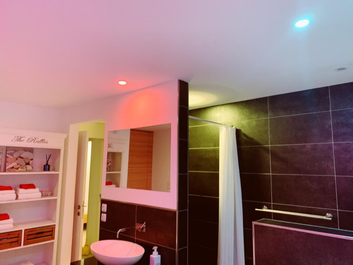 N1 Standalone House Baden Appartement Hertenstein Buitenkant foto