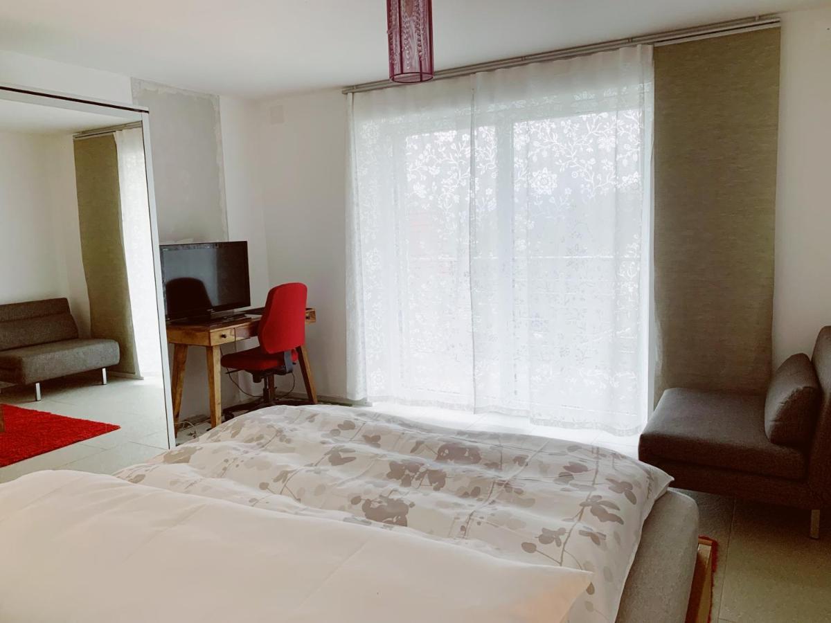 N1 Standalone House Baden Appartement Hertenstein Buitenkant foto