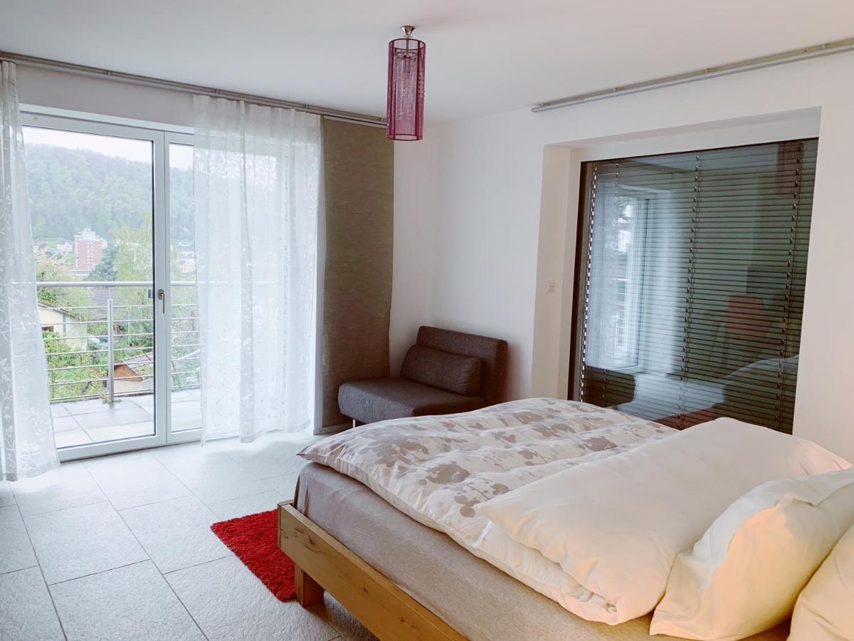 N1 Standalone House Baden Appartement Hertenstein Buitenkant foto