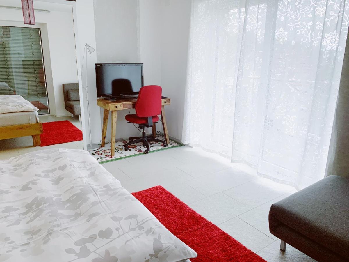 N1 Standalone House Baden Appartement Hertenstein Buitenkant foto