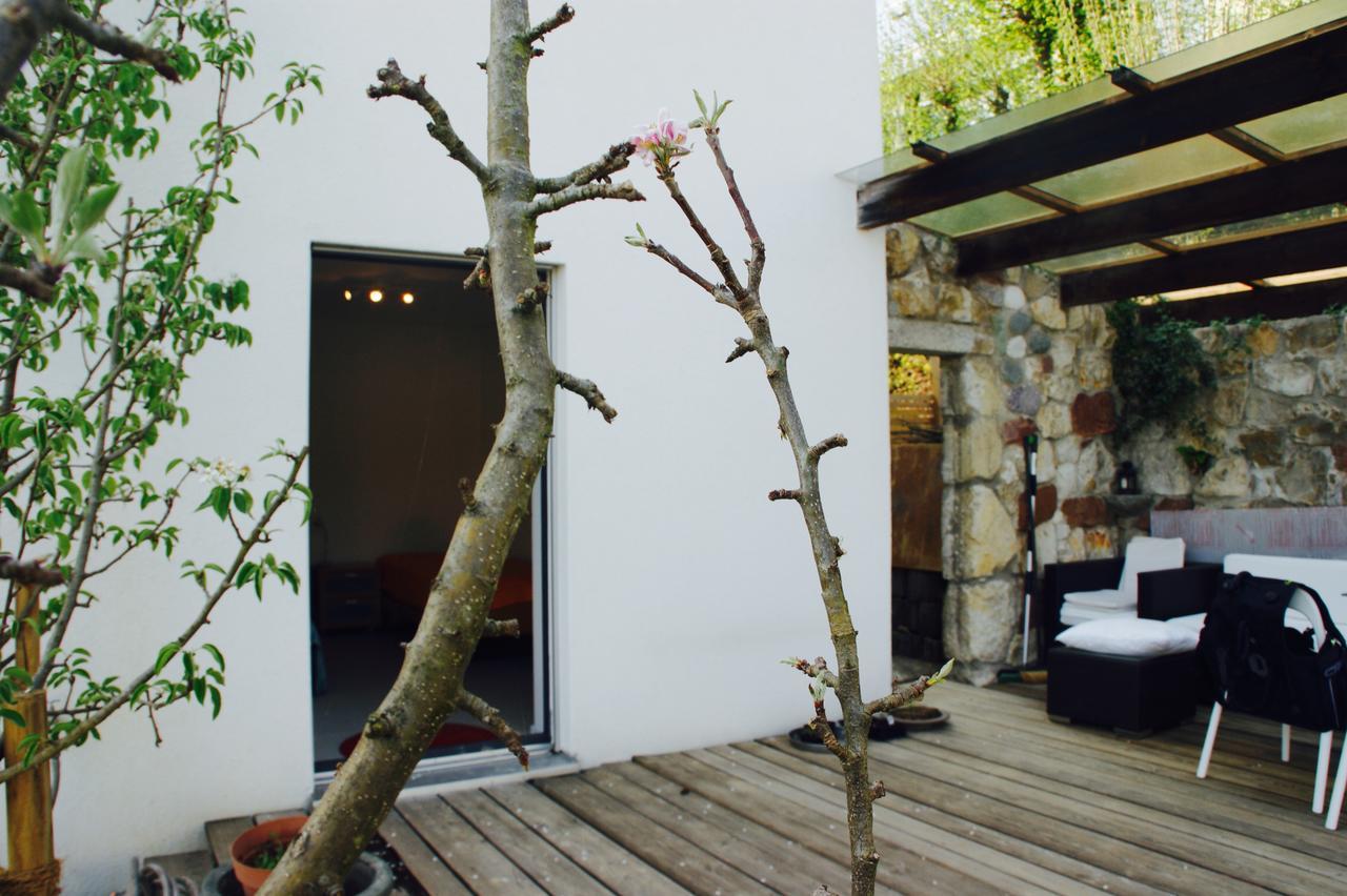 N1 Standalone House Baden Appartement Hertenstein Buitenkant foto