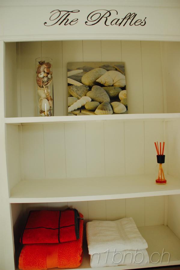 N1 Standalone House Baden Appartement Hertenstein Buitenkant foto